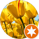 Rami Najjar profile picture